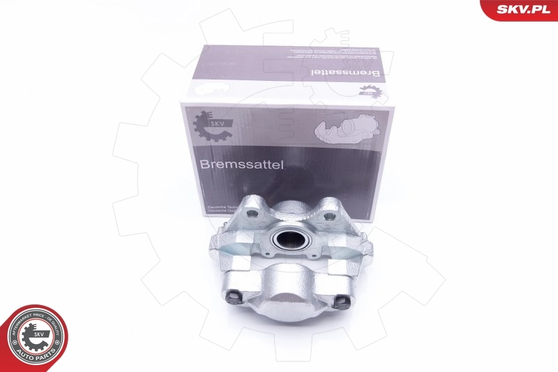Brake Caliper